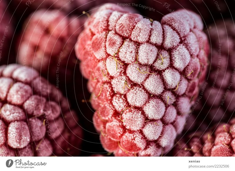 Gefrorene rote Himbeeren Lebensmittel Frucht Bioprodukte Vegetarische Ernährung frieren Gesundheit kalt süß gefroren Raureif Eiskristall Rubus idaneus