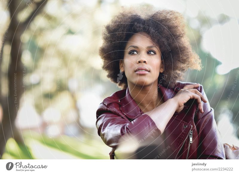 Schwarze Frau mit Afro-Frisur, die in einem Stadtpark sitzt. Lifestyle Stil Glück schön Haare & Frisuren Gesicht Mensch feminin Junge Frau Jugendliche