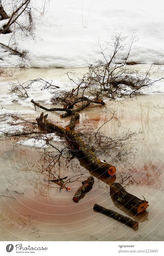 Nasser Grab Natur Pflanze Wasser Winter Klima Schnee Baum Bach Fluss Holz schlafen kalt nass braun rot weiß Mitgefühl friedlich Einsamkeit Erschöpfung Tod