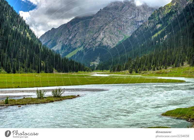 Atemberaubende Landschaft des Karakol Nationalparks, Kirgisistan Sommer Berge u. Gebirge Natur Himmel Wolken Baum Gras Park Wald Hügel Felsen Schlucht Fluss