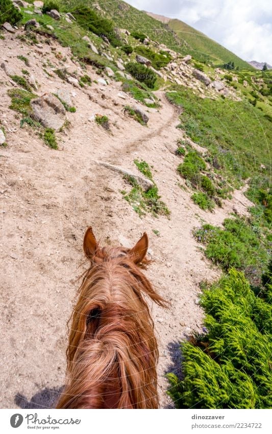 Ansicht zum steilen Weg vom Pferd zurück, Kirgisistan Lifestyle Erholung Freizeit & Hobby Ferien & Urlaub & Reisen Sommer Berge u. Gebirge Sport Natur