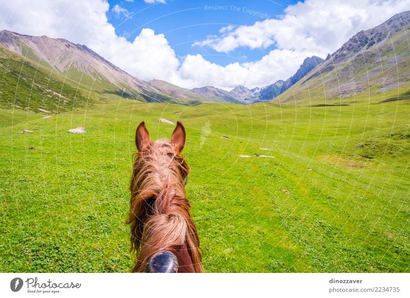 Ansicht über Tal vom Pferd zurück, Kirgisistan Lifestyle Erholung Freizeit & Hobby Ferien & Urlaub & Reisen Sommer Berge u. Gebirge Sport Natur Landschaft Tier