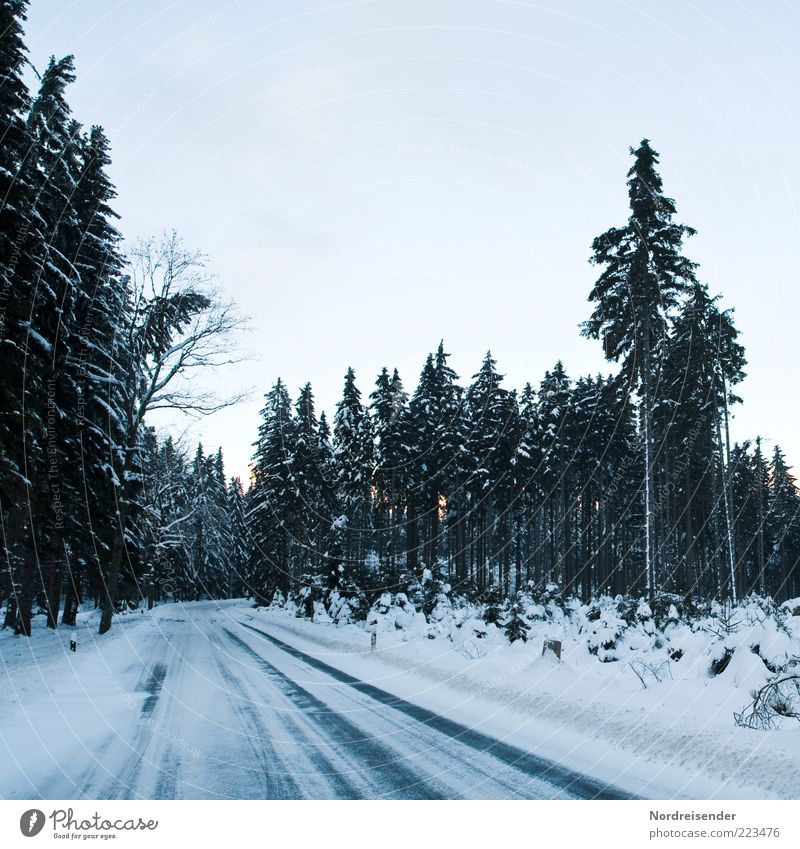 Winterfreuden Natur Landschaft Klima Eis Frost Wald Verkehrswege Straße Wege & Pfade Zeichen Verkehrszeichen fahren bedrohlich kalt Stimmung Akzeptanz