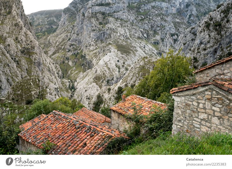 Jenseits des Mainstreams | ein Dorf fürs Vieh in den Bergen Natur Landschaft Gras Sträucher Felsen Berge u. Gebirge Haus Stall Mauer Wand Dach Dachziegel Stein