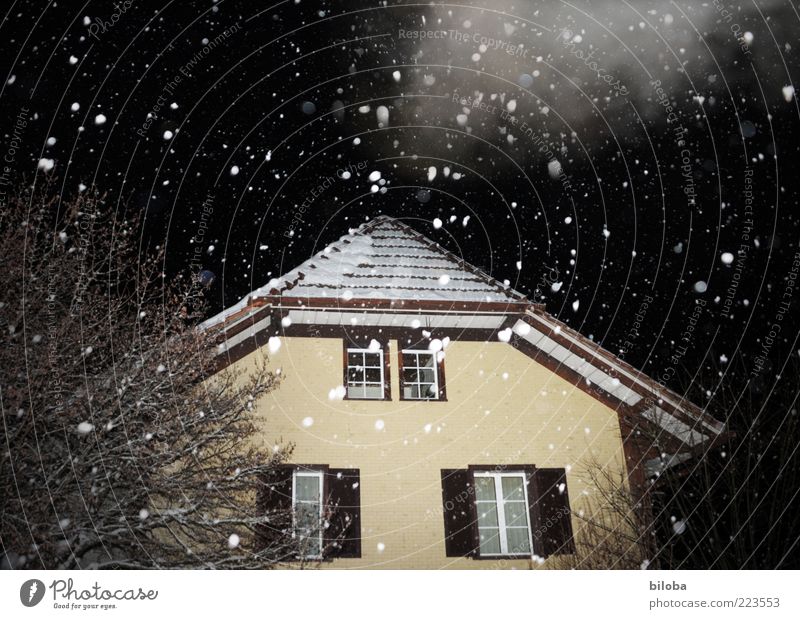 Leise rieselt der Schnee Winter Schneefall Haus Einfamilienhaus Hütte Fassade schwarz weiß ruhig bizarr Schneeflocke Niederschlag Wolken Nebel Abend