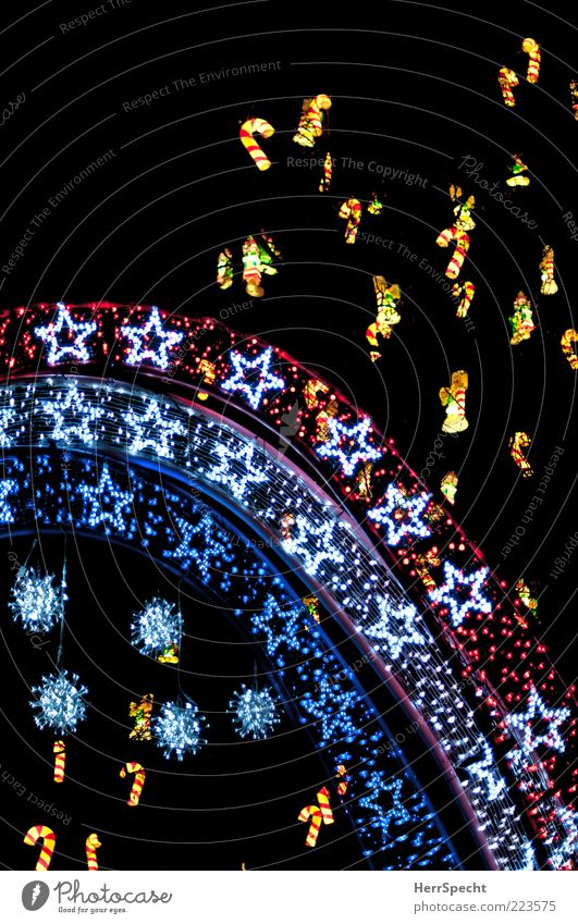 Im Weihnachtswald ästhetisch schön mehrfarbig Weihnachtsdekoration Stern (Symbol) Weihnachtsstern Weihnachten & Advent Baumschmuck Farbfoto Außenaufnahme