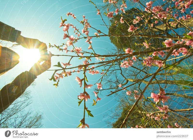 Fotos im Frühling Ausflug Freiheit Mensch Frau Erwachsene Hand 1 Umwelt Natur Sträucher Wachstum April Fotografieren Spaziergang Blüte Blühend Blütenblatt