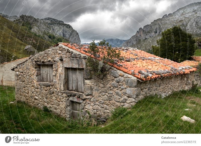 Stall Berge u. Gebirge wandern Landschaft Pflanze Gewitterwolken Sommer schlechtes Wetter Baum Gras Wiese Hügel Felsen Hütte Bauwerk Kuhstall Stein Holz alt