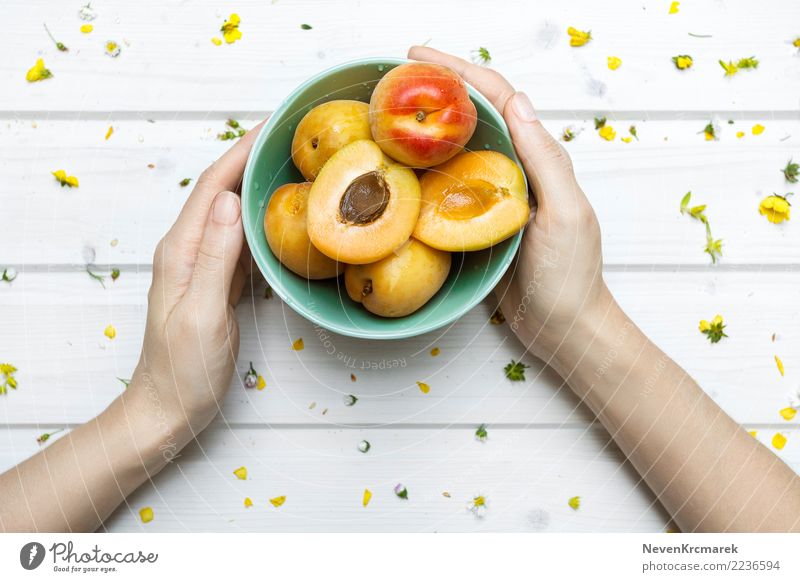 Weibliche Hände, die eine Schüssel Aprikosen halten Lebensmittel Frucht Süßwaren Ernährung Essen Frühstück Mittagessen Abendessen Picknick Bioprodukte Diät
