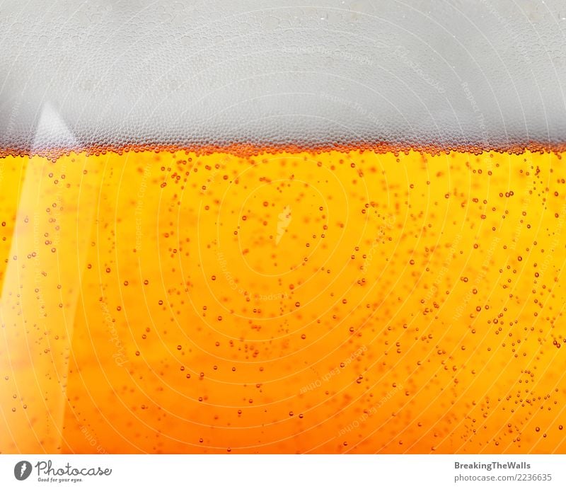 Extrem nah oben vom Bier im Glas, Seitenansicht Getränk Erfrischungsgetränk Alkohol gelb gold weiß Pils Bierschaum Luftblase niedriger Winkel Profil