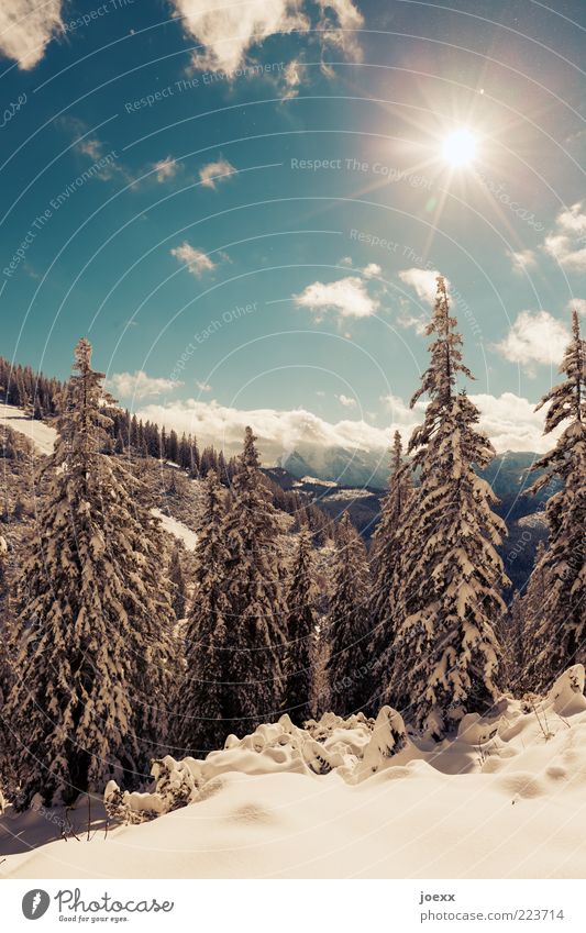 Tauwetter Himmel Sonnenlicht Winter Klimawandel Schnee Baum Wald Berge u. Gebirge blau weiß ruhig kalt Farbfoto mehrfarbig Außenaufnahme Tag Sonnenstrahlen