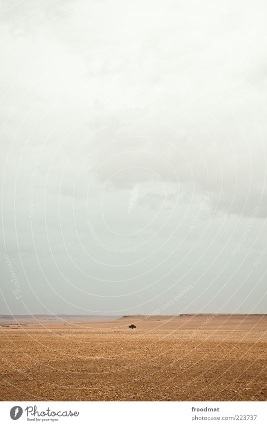 solitude Umwelt Natur Landschaft Himmel Wolken schlechtes Wetter Dürre Wüste Unendlichkeit einzigartig trist trocken ruhig Einsamkeit Endzeitstimmung Marokko