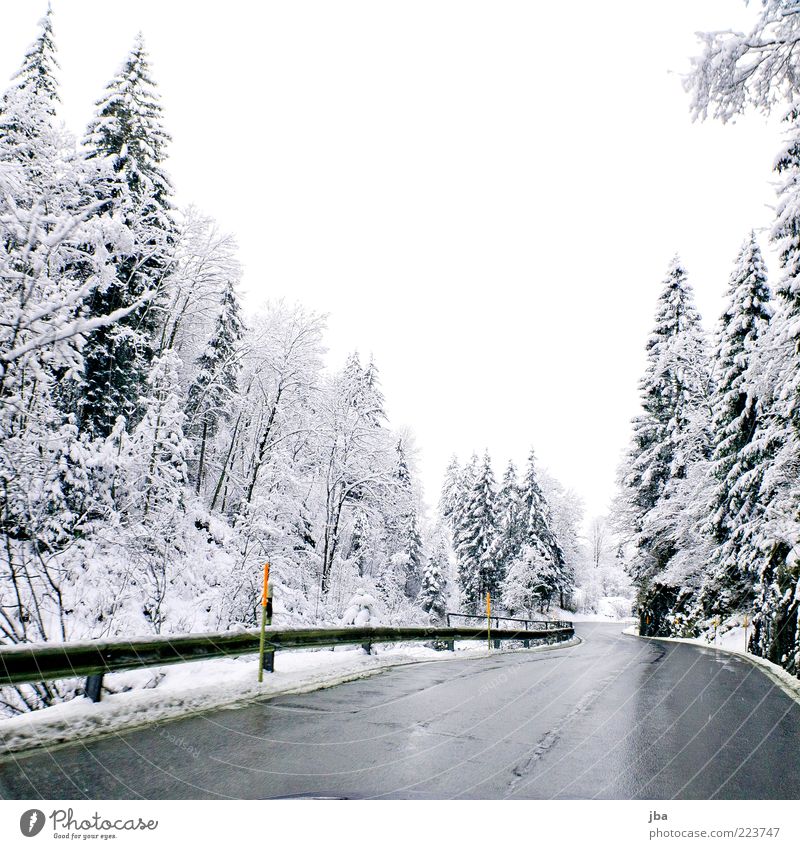 Winterstrasse Schnee Nebel Tanne Wald Bach Saanenland Schweiz Verkehrswege Personenverkehr Autofahren Straße Leitplanke nass Glätte Hauptstraße Neuschnee weiß