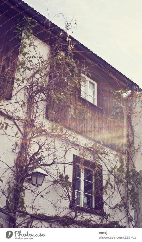 5oo Dorf Haus Einfamilienhaus Mauer Wand Fassade Fenster alt einzigartig Ranke Pflanze Farbfoto Außenaufnahme Dämmerung Sonnenlicht Sonnenstrahlen