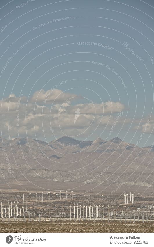 Landschaft Palm Springs IV Fortschritt Zukunft Energiewirtschaft Erneuerbare Energie Windkraftanlage Umwelt Natur Urelemente Erde Luft Himmel Wolken Sonnenlicht