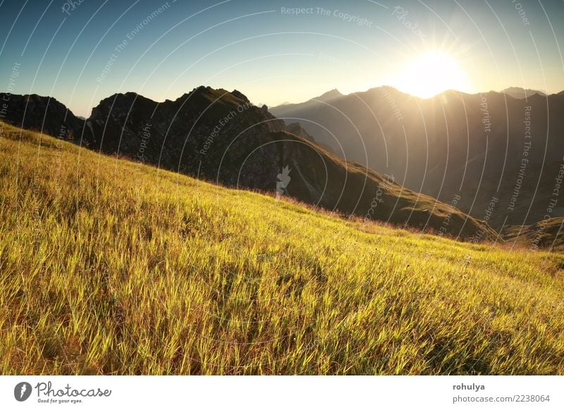 Morgen Sonnenschein über hohe Almwiese im Sommer Ferien & Urlaub & Reisen Berge u. Gebirge wandern Natur Landschaft Sonnenaufgang Sonnenuntergang Schönes Wetter