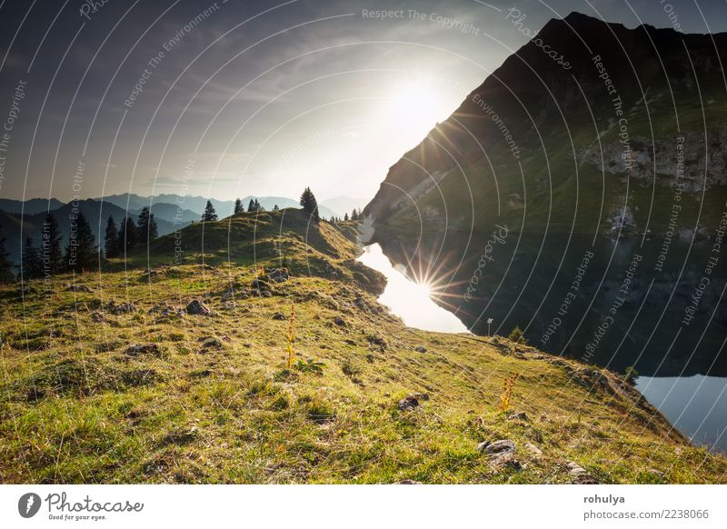Sonnenuntergang über Alpensee und Berggipfeln, Deutschland Berge u. Gebirge Natur Landschaft Himmel Sonnenaufgang Sommer Schönes Wetter Baum Wiese Hügel Felsen