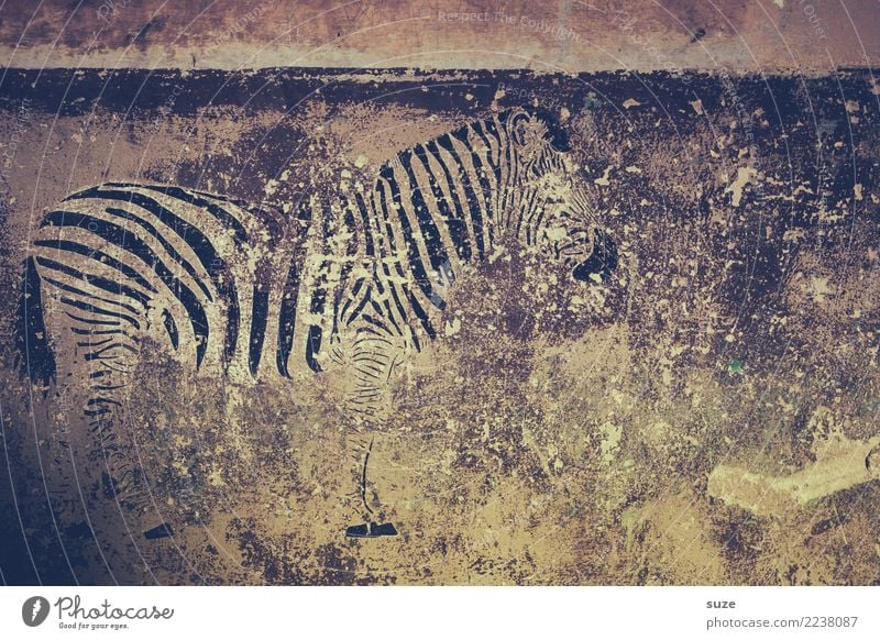 Das Dahinvegetier Stil exotisch Freiheit Safari Kunst Kunstwerk Kultur Mauer Wand Fassade Wildtier 1 Tier Graffiti Streifen alt Armut dreckig kaputt wild grau
