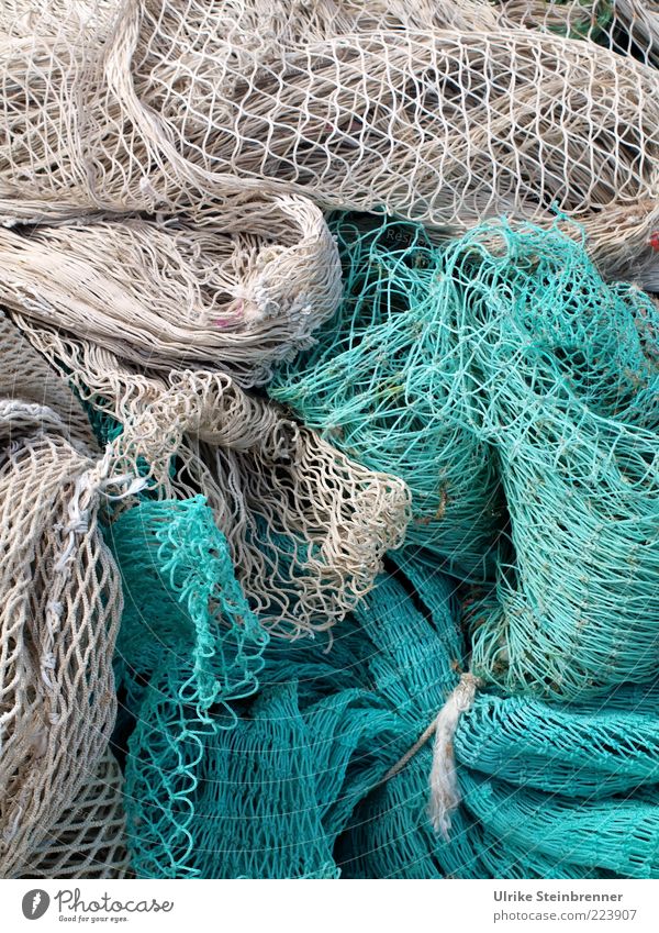 Fischernetze in zwei Farben Fischereiwirtschaft türkis Schifffahrt Fischerboot Seil liegen fest Zusammenhalt Knoten Strukturen & Formen Netzwerk Halt trocknen