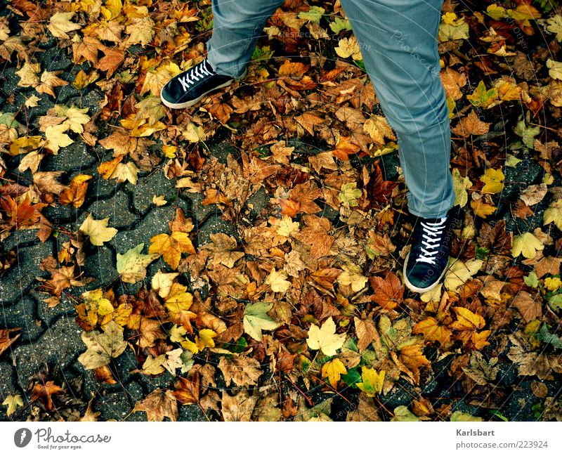 herbstspreizen. Mensch Beine 1 Herbst Blatt Hose Schuhe Turnschuh einzigartig Herbstlaub stehen Farbe Farbfoto mehrfarbig Außenaufnahme Nahaufnahme Experiment