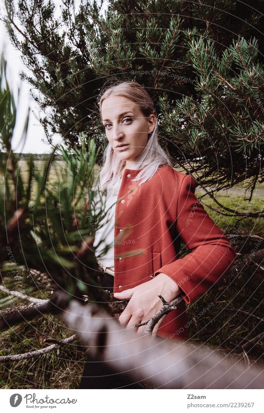 Autum 2017 Lifestyle elegant Stil schön feminin Junge Frau Jugendliche 18-30 Jahre Erwachsene Natur Landschaft Herbst Baum Wald Mode Jacke blond langhaarig