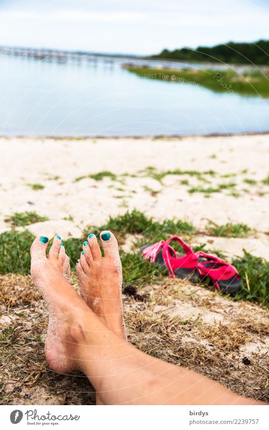 entspannte Zeit Nagellack Erholung ruhig Sommerurlaub feminin Frau Erwachsene Fuß 1 Mensch 30-45 Jahre Schönes Wetter Küste Seeufer Strand Ostsee liegen