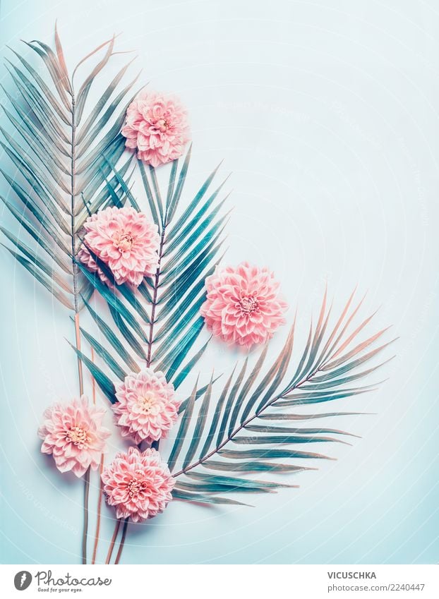 Layout mit tropischen Palmblättern und pastellrosa Blüten Stil Design Natur Pflanze Blume Blatt trendy Entwurf Hintergrundbild Hipster Palme blau türkis