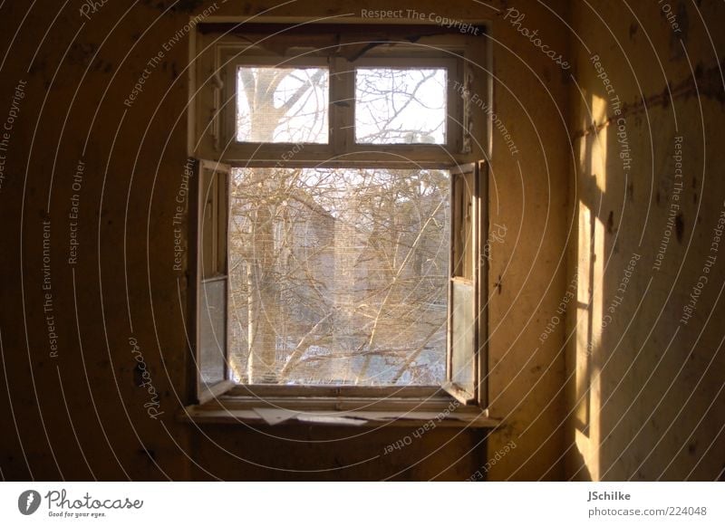 offenes Fenster alt Baum ein lizenzfreies Stock Foto von