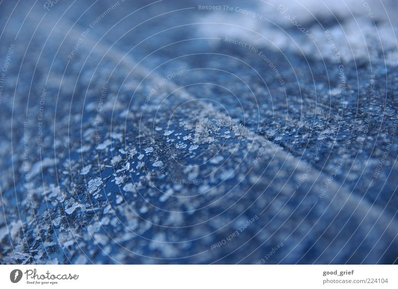 dualphasenstahl + eiskristalle Klima Wetter Fahrzeug PKW kalt Eis Eiskristall Karosserie Winter Tiefenschärfe Farbfoto Außenaufnahme Experiment Muster