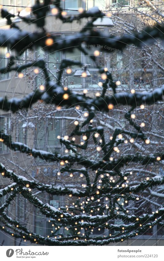 Starlights Dekoration & Verzierung Zeichen grün Vorfreude Menschlichkeit Frieden Hoffnung ruhig Wunsch Weihnachtsstern Glühbirne Außenaufnahme Menschenleer