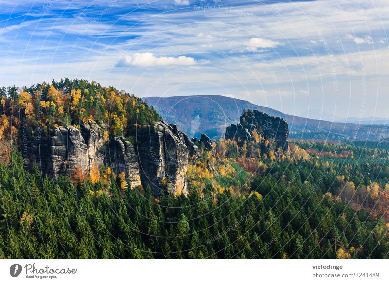 Aussicht an der Breiten Kluft Berg blau Breite Kluft deutsch draußen Elbsandstein Elbsandsteingebirge Elbtal Felsen grün Rauschenspitze Rauschenstein