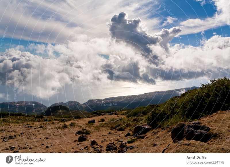 Wolken von oben Insel Berge u. Gebirge Umwelt Natur Landschaft Himmel Sommer Wetter Schönes Wetter Baum Sträucher Hügel Küste Ferne Portugal Madeira steil Tal