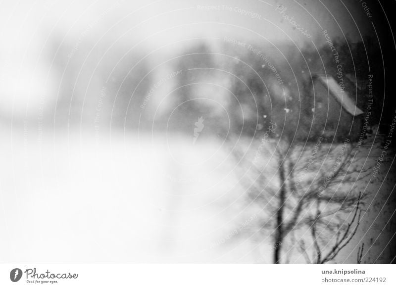 wahrnehmung Umwelt Winter Eis Frost Schnee Schneefall Baum Dorf Menschenleer Haus Gefühle Unschärfe unklar Verzerrung dunkel Zweige u. Äste Textfreiraum links