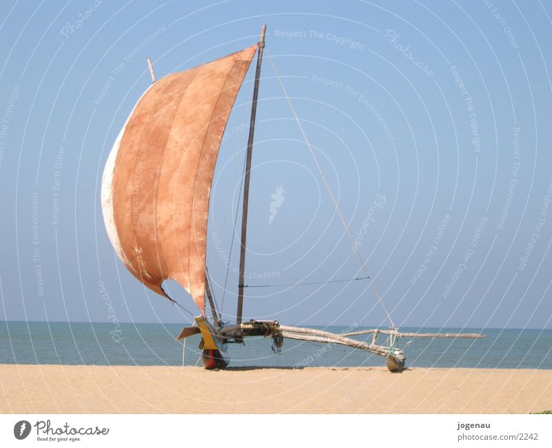 Katamaran Ferien & Urlaub & Reisen Meer Strand Wasserfahrzeug Sri Lanka Los Angeles Sand Sonne Segel
