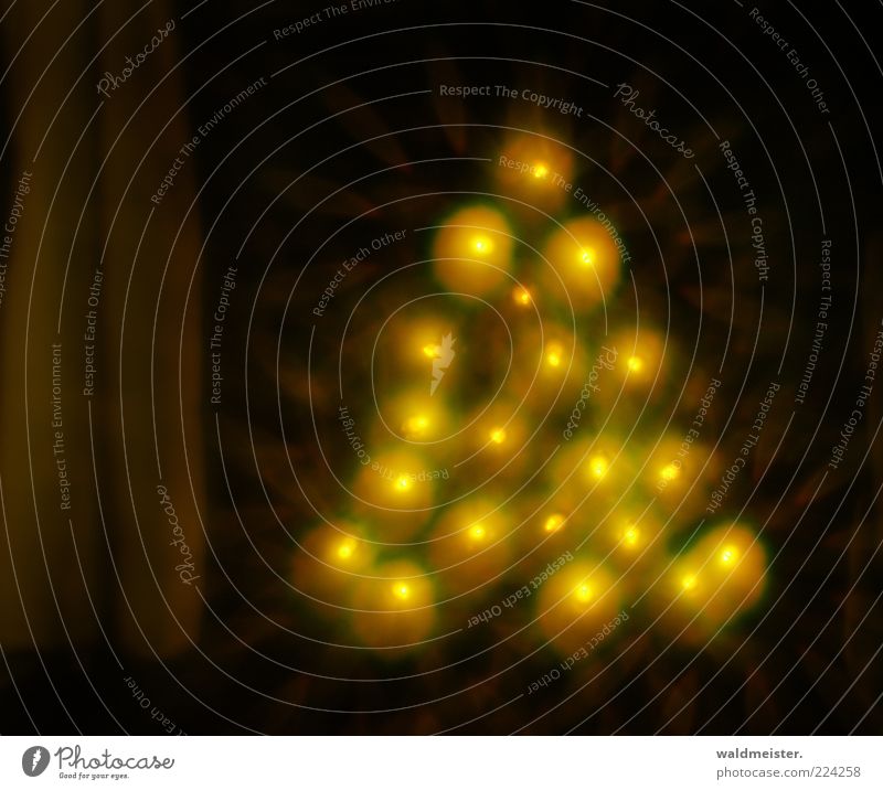 Extrafokale Unschärfekreise Baum Vorfreude bizarr Weihnachtsbaum Weihnachtsdekoration Lichterkette Lichterscheinung Lichteffekt Farbfoto abstrakt Menschenleer