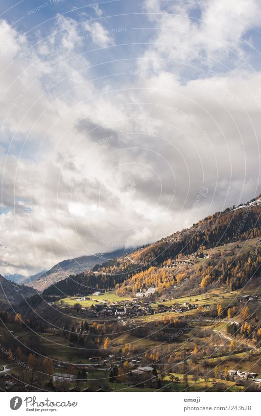 Wallis Umwelt Natur Landschaft Herbst Schönes Wetter Wald Hügel natürlich Tourismus Kanton Wallis Schweiz Wandertag Farbfoto Außenaufnahme Menschenleer Tag