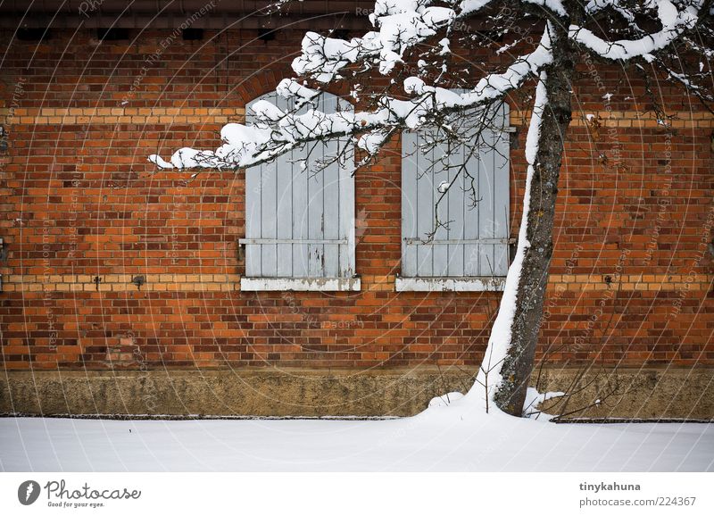 TrÜbPl Militärgebäude Winter Schnee Baum Baracke Mauer Wand Fenster Fensterladen Backstein frieren alt einfach kalt braun gelb weiß Einsamkeit ruhig