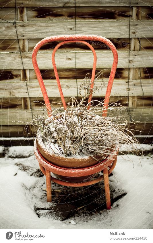 winterzeit ist ruhezeit II Wohnung Garten Winter Eis Frost Schnee Pflanze warten alt authentisch braun weiß Traurigkeit Sehnsucht Einsamkeit Stuhl Stuhllehne
