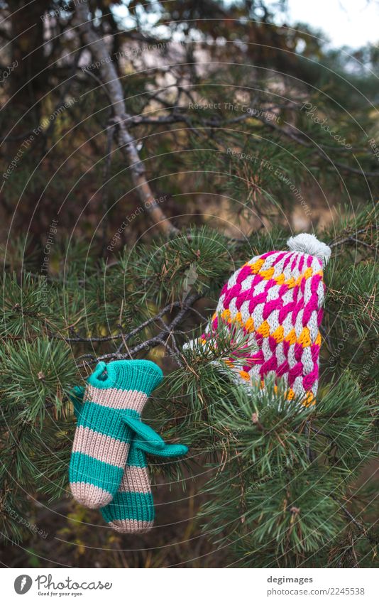 Winterhut und -handschuhe auf einem Baum Natur Herbst Wetter Wärme Wald Bekleidung Accessoire Handschuhe Hut weiß Tanne Ast Weihnachten kalt Fäustlinge Wolle