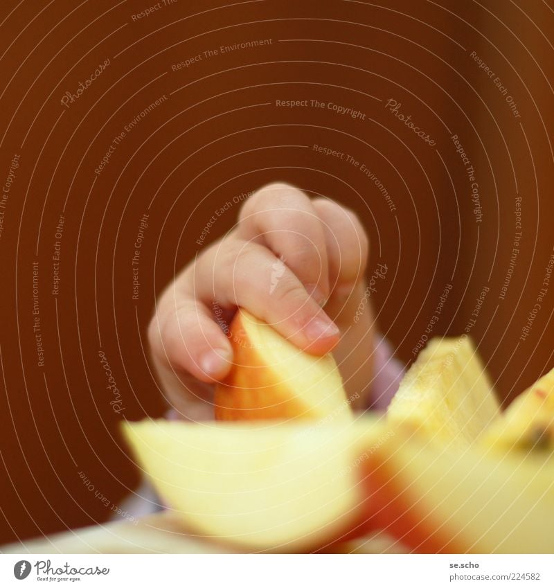 Zugriff Lebensmittel Frucht Apfel Ernährung Essen Bioprodukte Vegetarische Ernährung Diät Fingerfood frech frisch niedlich saftig klug mehrfarbig gelb gold rot
