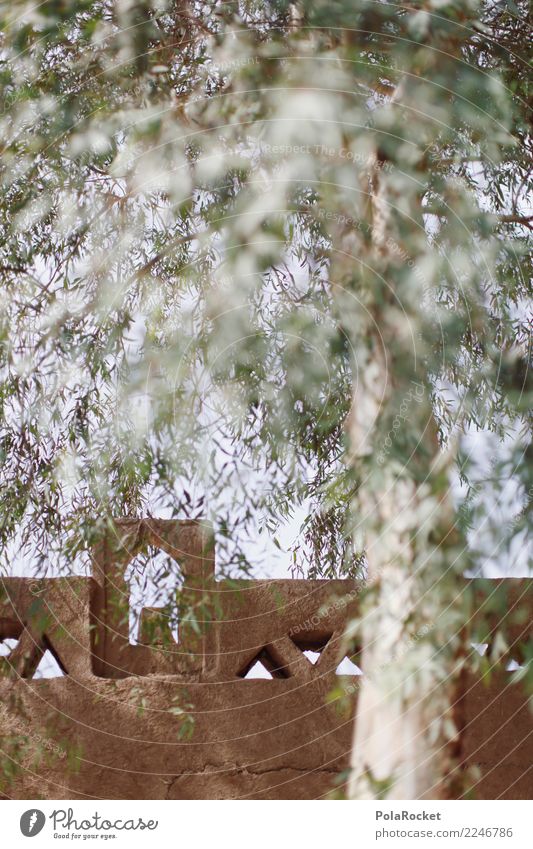 #A# Arabische Mauer Kunst ästhetisch Mauerpflanze Mauerstein Baum Marokko Marrakesch Naher und Mittlerer Osten Arabien Farbfoto mehrfarbig Außenaufnahme