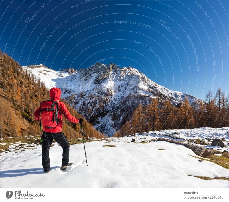 Mann ist in Winterbergen wandern Erholung Ferien & Urlaub & Reisen Tourismus Abenteuer Expedition Sport Mensch Erwachsene Natur Landschaft Herbst Wald Alpen
