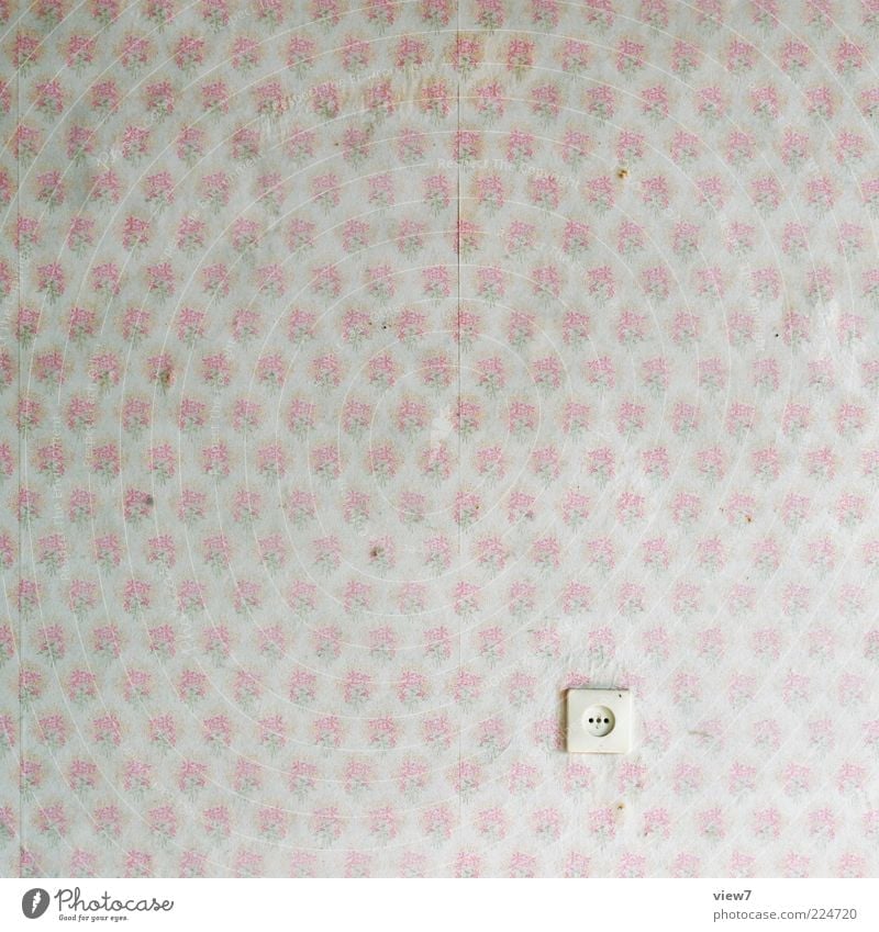 Mädchenzimmer Dekoration & Verzierung Tapete Raum Ornament alt einzigartig Kitsch klein niedlich Originalität retro rosa Frieden Ordnung Vergänglichkeit