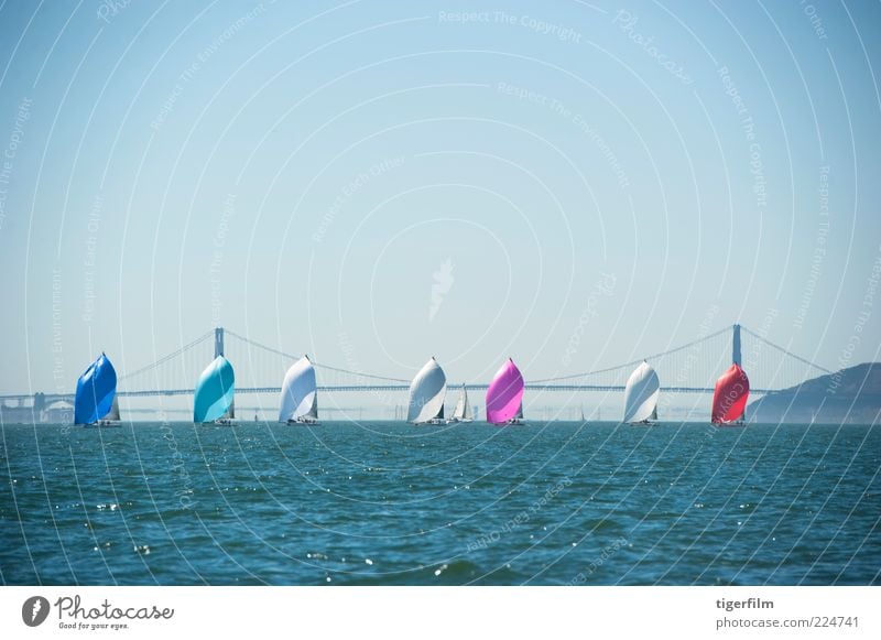 rasende Segelboote in Folge Golden Gate Bridge Bucht blau Wasserfahrzeug Kalifornien Meisterschaft Farbe Reihe Konkurrenz Vorfeld San Francisco September