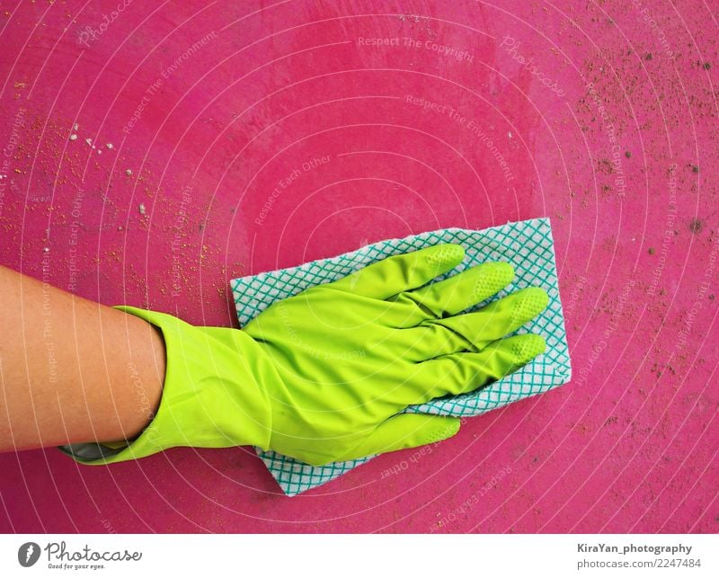 Frauenhand Formreinigung Gesundheitswesen Allergie Häusliches Leben Arbeit & Erwerbstätigkeit Hand Handschuhe Watte Sauberkeit grün rosa rot Schimmelpilze Wand