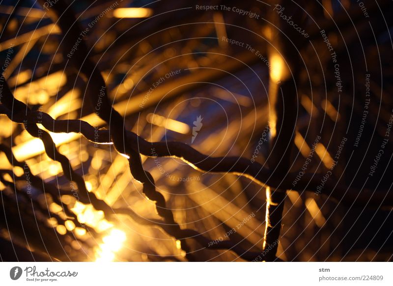 hinter gittern Sehenswürdigkeit Wahrzeichen Denkmal Tour d'Eiffel Zaun Gitter Gitternetz Absperrgitter dunkel Farbfoto Nahaufnahme Detailaufnahme abstrakt