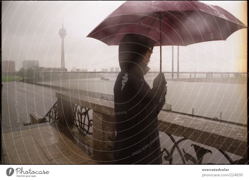 Umbrella rain ruhig Ferne Freiheit Mensch 1 schlechtes Wetter Unwetter Nebel Regen Düsseldorf Menschenleer Brücke Turm Fernsehturm Jacke Kapuze Regenschirm