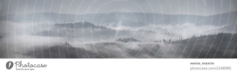 Panorama des Herbstregens und -nebels auf Gebirgshügeln. schön Ferien & Urlaub & Reisen Berge u. Gebirge Natur Landschaft Pflanze Himmel Wolken Wetter Nebel