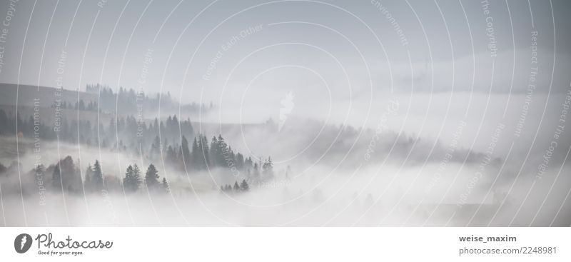 Panorama des Waldes bedeckt durch tiefe Wolken. Herbstregen und -nebel Ferien & Urlaub & Reisen Tourismus Ausflug Abenteuer Ferne Freiheit Kreuzfahrt Expedition