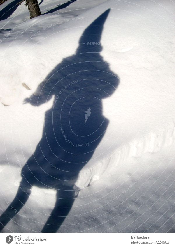 Baba Jaga Frau Erwachsene Natur Sonnenlicht Winter Schnee Mantel Mütze Tanzen fantastisch Fröhlichkeit Bewegung Kultur skurril Surrealismus Außenaufnahme Licht